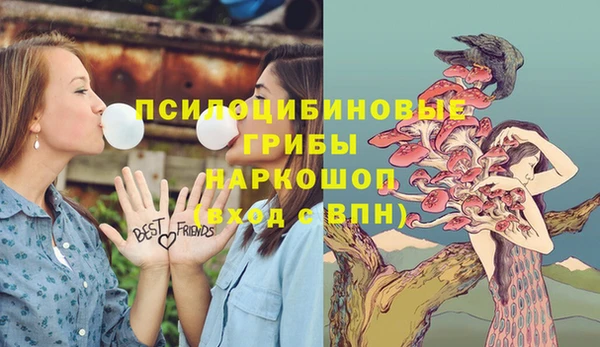 прущая мука Верея