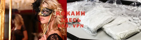 дживик Верхний Тагил