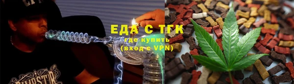 дживик Верхний Тагил