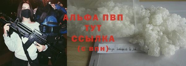 дживик Верхний Тагил
