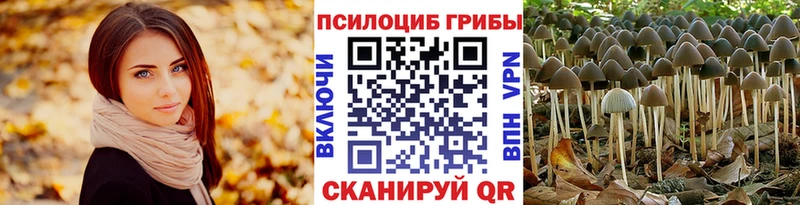 Галлюциногенные грибы Psilocybe  Дигора 